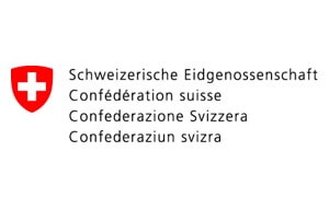 Schweizer Führerschein mit Fahrschule Driving Point